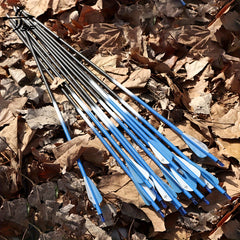 SF 30" Carbon Arrow Archery Practice Arrows Spine 500 for Recurve Bow (Pack of 12), Blue